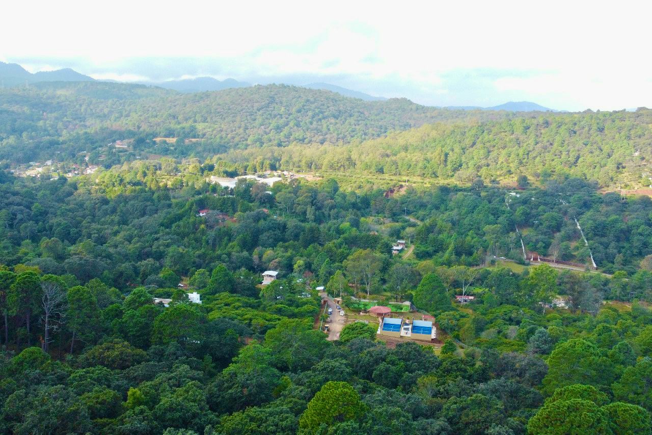 A house in the middle of the forest is a example of the house in sale